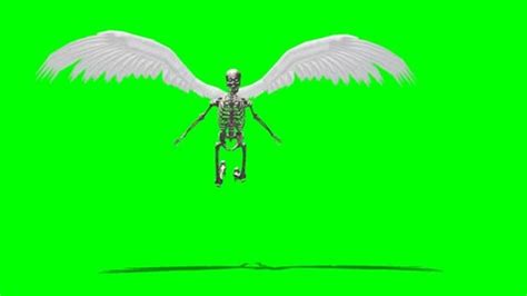 Image result for Butterfly Drawing Tutorial