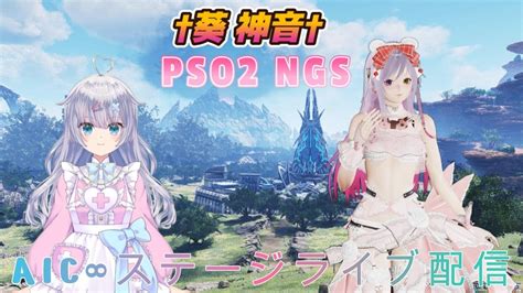 PSO2 AIC 的图像结果