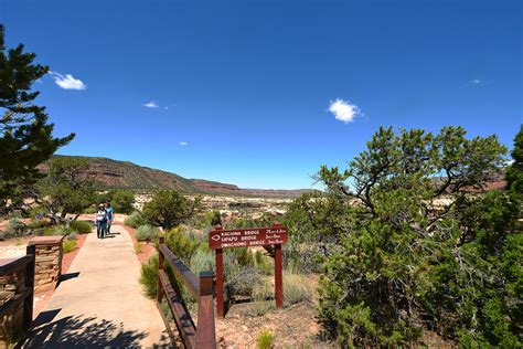 Loop Trail 的图像结果