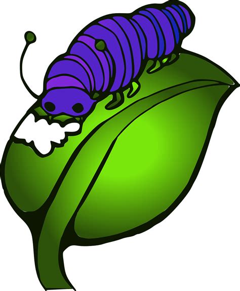 Caterpillar On A Leaf Clipart