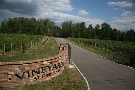 Special Events - The Vineyards At Pine Lake