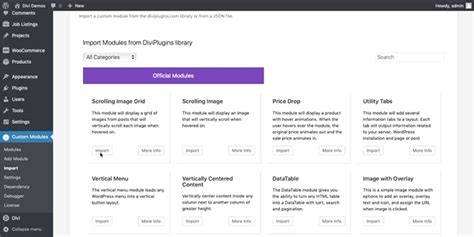 Divi Module Builder 的图像结果