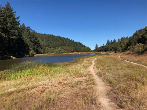 Are Dogs Allowed At Sanborn County Park