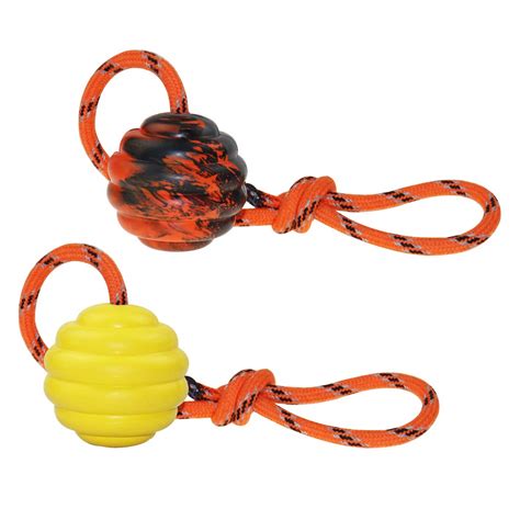 Buy Nevperish K9 Training Ball with Rope Exercise and Reward Toy for ...