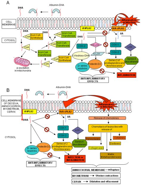 IJMS | Special Issue : Nutritional Control of Metabolism
