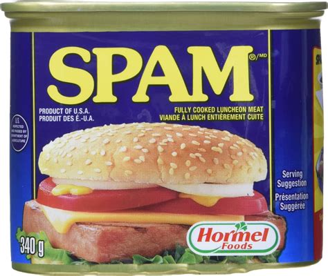 SPAM Luncheon Meat 12 oz : Amazon.ca: Grocery & Gourmet Food
