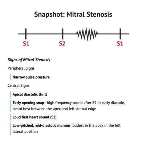 The Murmur of Mitral Valve Insufficiency Is Best Described as