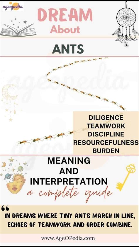 Dream about Ants: Biblical & Spiritual meaning, interpretation, good or ...