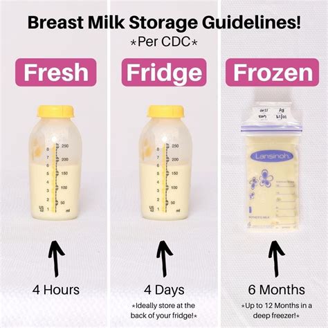 Thawing frozen breastmilk – Artofit