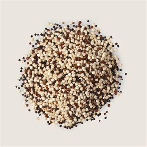 Quinoa tricolor - Propiedades y beneficios - Trevijano