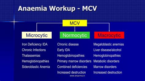 PPT - APPROACH TO ANEMIA PowerPoint Presentation, free download - ID:513188
