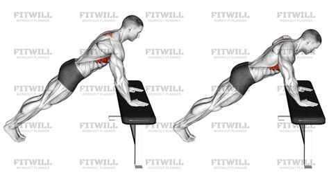 Incline Scapula Push Up: Exercise Guide, Techniques, Benefits, How to ...