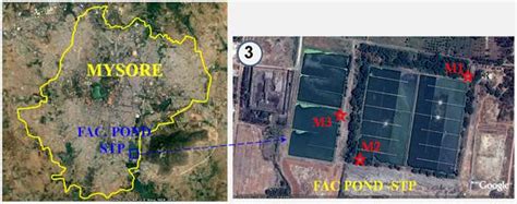 Figure 3: Mysore: 3) Facultative pond based STP