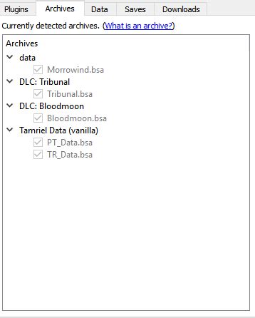Image result for How to Update a BSA File Type for Fallout