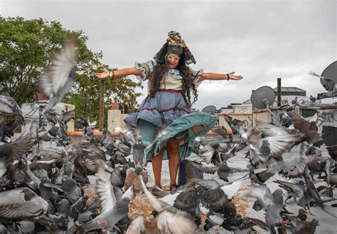 35 Facts About Mother Pigeon New York - Facts.net