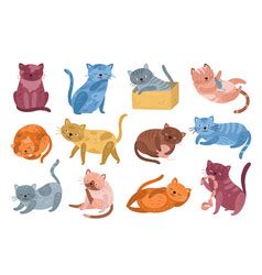Cat Vector 的图像结果
