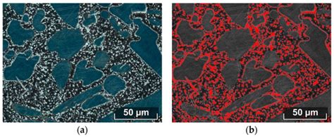 Quantitative Description of Duplex Stainless Steels Microstructure ...
