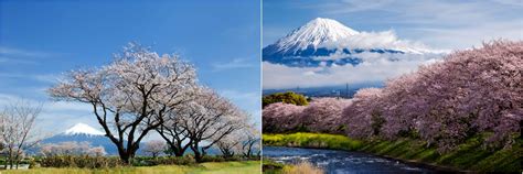 Japan View 的图像结果