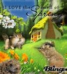 Image result for Spring Animals Bunny