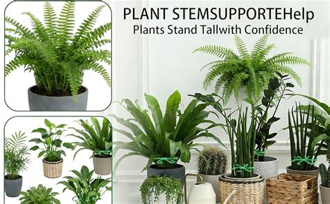 Xfopz 16PCS Plant Stem Support, Plant Stem Holder for Indoor Plants ...