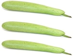 VibeX ® XLR-231 Long Bottle Gourd | Calabash Seed Price in India - Buy ...
