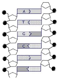 Labels KeyShot 的图像结果