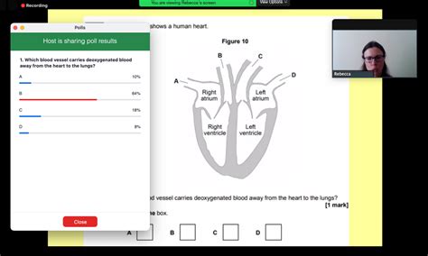 Image result for Download Live Lesson