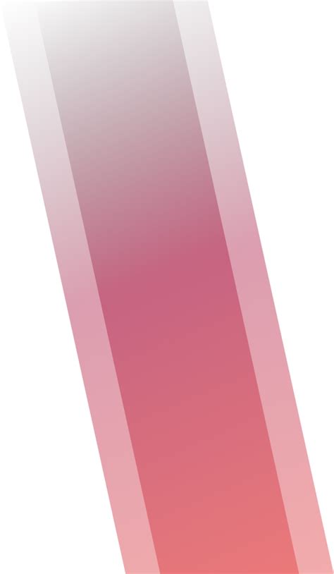 Absolute Fitness Management