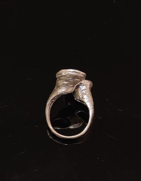 Image result for Vortex Ring