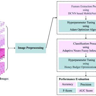 Image result for AOC Algorithm