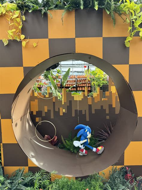 Platt Hill Nursery Spring Show | Spring Show Platt Hill Nursery