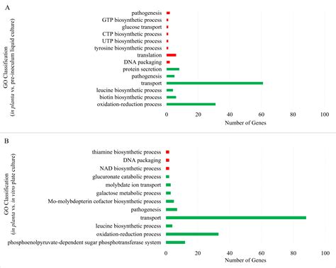Analysis of the in planta transcriptome expressed by the corn pathogen ...