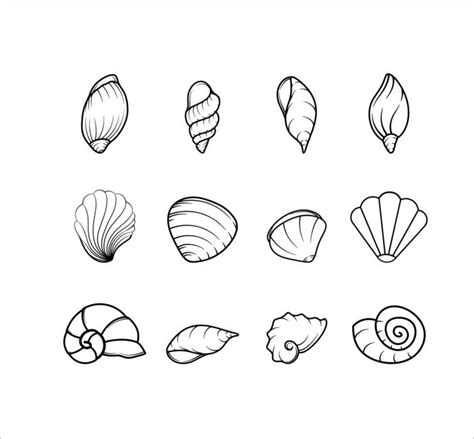 Image result for Shell Shape Outline