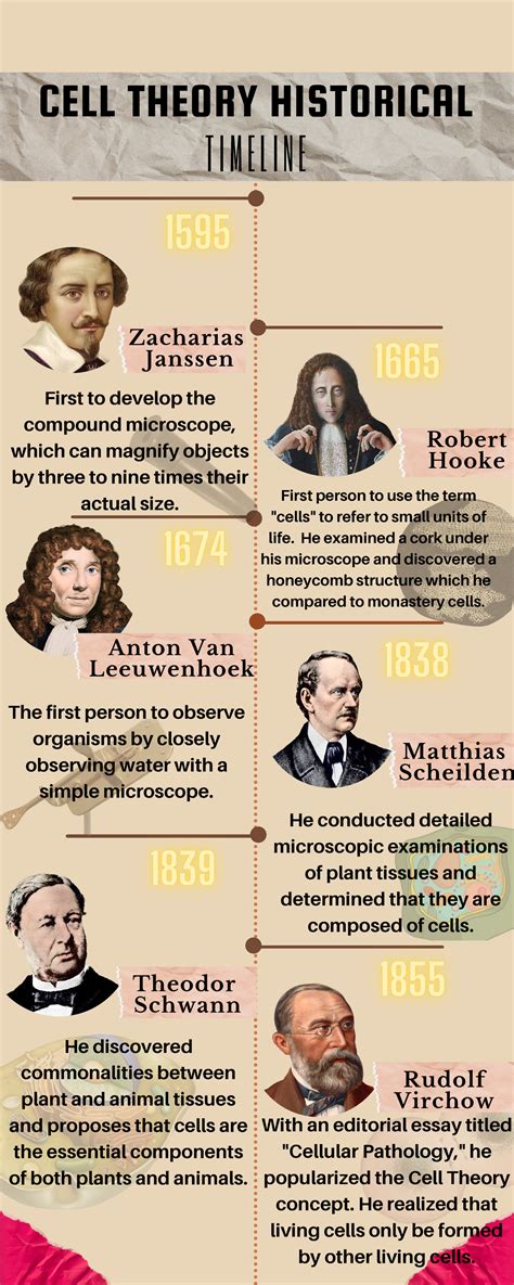 Cell Theory Timeline Worksheet The Wacky History Of Cell Theory