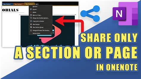 Share OneNote 的图像结果