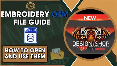 Image result for How to Open OFM Files