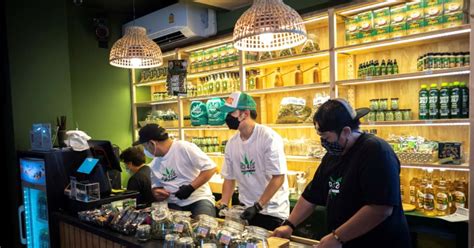 Cannabis Cafe Opens In Bangkok After Thailand Decriminalises Marijuana
