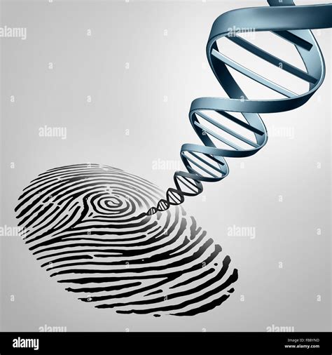 Dna Fingerprinting Process Animation