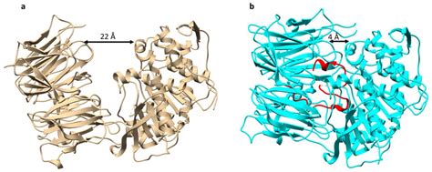 Recent Advances in the Discovery and Biosynthetic Study of Eukaryotic ...