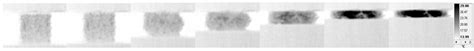 Experimental and Numerical Evaluation of the Mechanical Behavior of ...