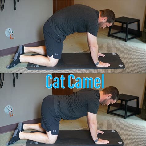 Image result for Pelvic Spring Test