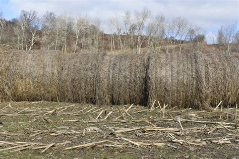 Set Picture Control Nikon 的图像结果