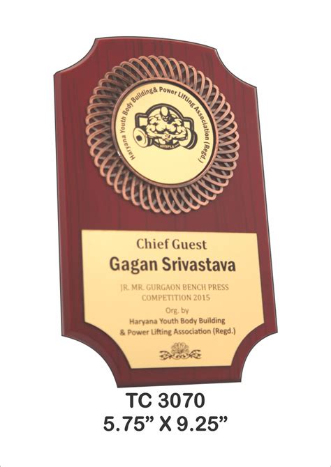 Shop for Plastic Frame Trophies in Delhi,Plastic Frame Trophy ...