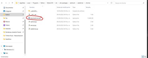 Image result for Selenium WebDriver Python