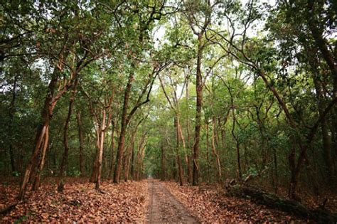 28 APRIL 2023 DAILY DEFENCE EXAM CURRENT AFFAIRS | UPSC CDS CAPF NDA ...