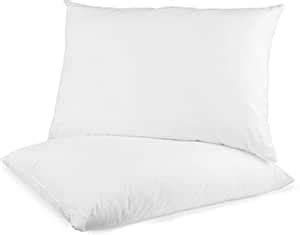AG A BN Bed Pillows Full Size Set Of 2, Cooling And Supportive Standard ...