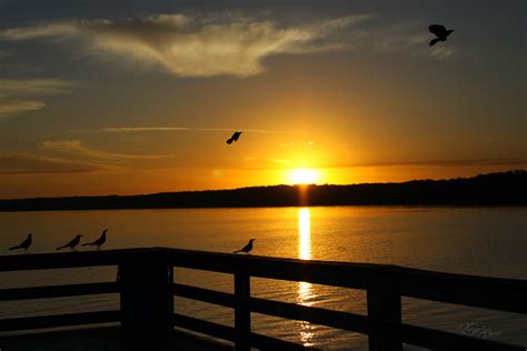 SW 63rd Blvd, Gainesville, FL, USA Sunrise Sunset Times