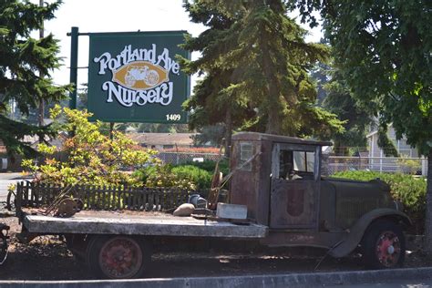 The Outlaw Gardener: Mad Dogs and Englishmen: Visiting Portland Avenue ...