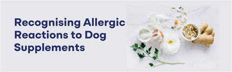 Recognizing Allergic Reactions to Dog Supplements: A Guide – K9 Vitality