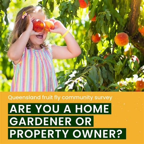 【せんので】 【中古】【輸入品・未使用】Area-Wide Management of Fruit Fly Pests：AJIMURA ...